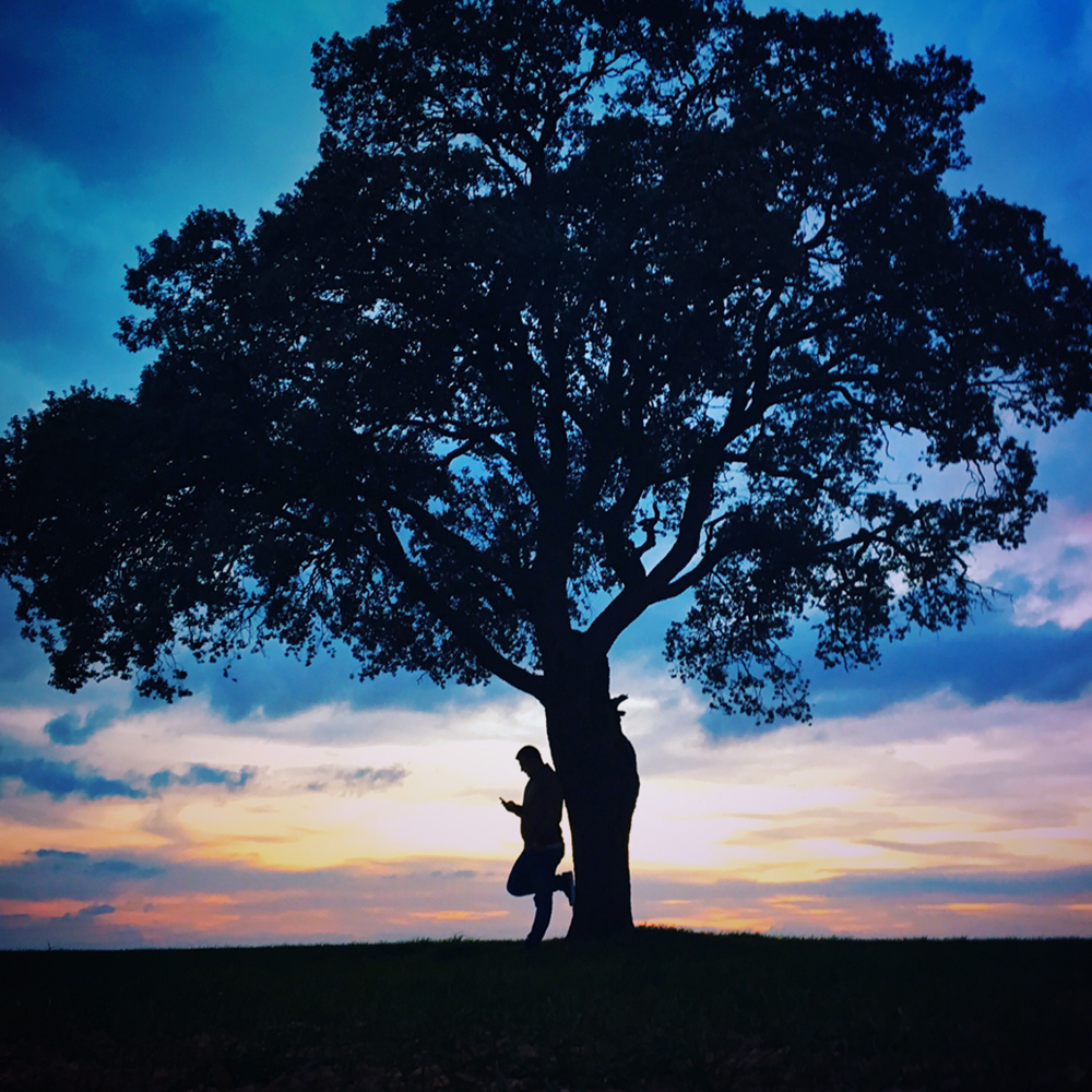 Alberto-Espinosa-galeria01